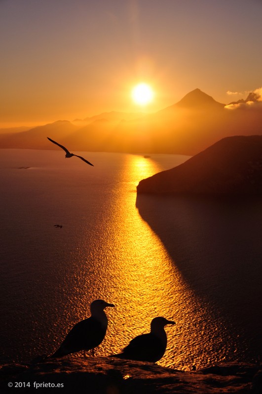 A vista de pájaro