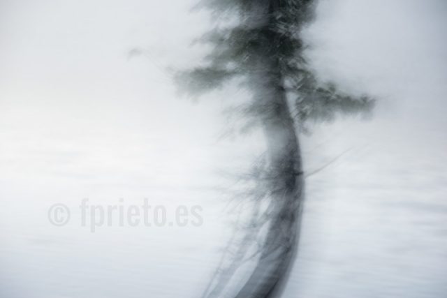 Dancer - Fotografía de Autor