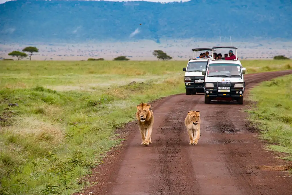 Viaje Safari Kenia